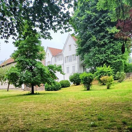 Domaine De La Moselle Panzió Saint-Maurice-sur-Moselle Kültér fotó