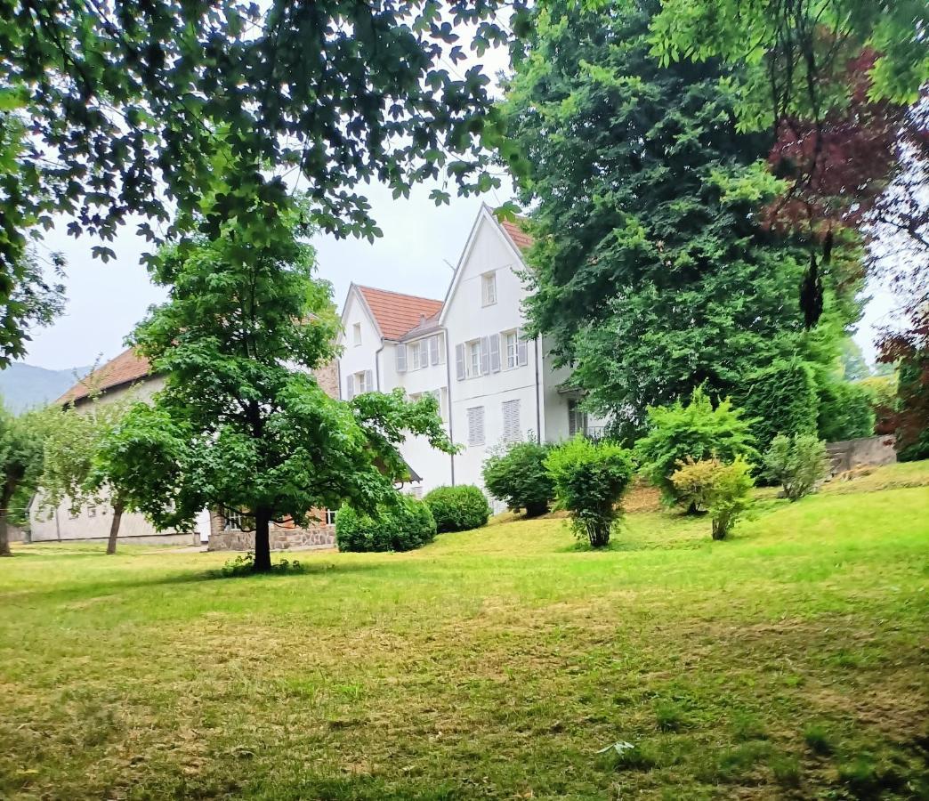 Domaine De La Moselle Panzió Saint-Maurice-sur-Moselle Kültér fotó